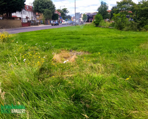 Grass Cutting Project in Mitcham CR4