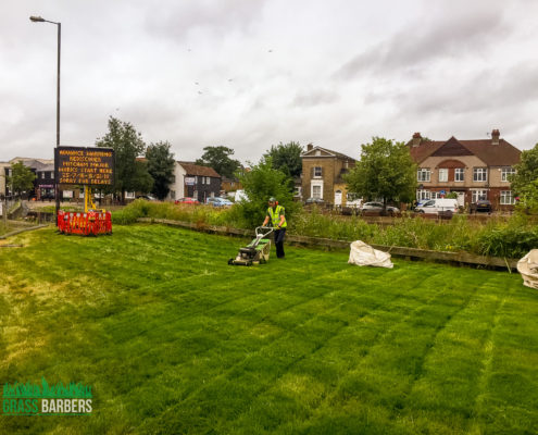 Grass Cutting Project in Mitcham CR4