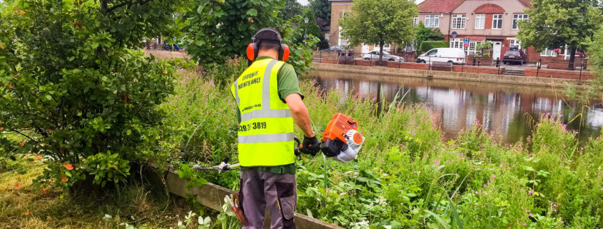 Grass Cutting Project in Mitcham CR4