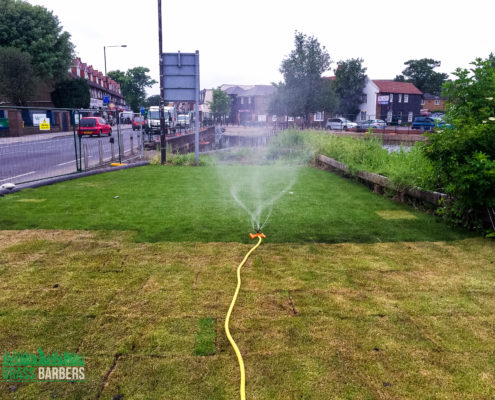 Grass Cutting Project in Mitcham CR4