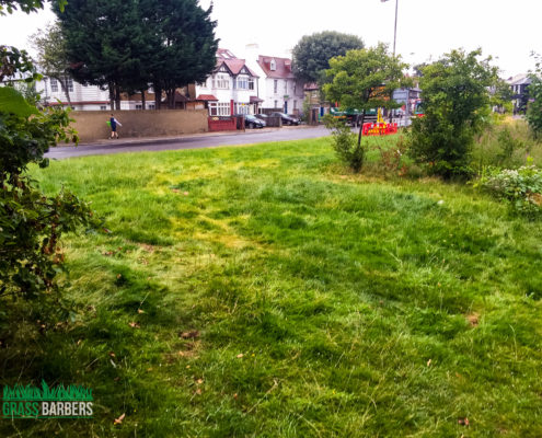 Grass Cutting Project in Mitcham CR4