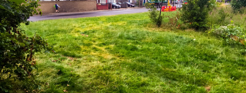 Grass Cutting Project in Mitcham CR4