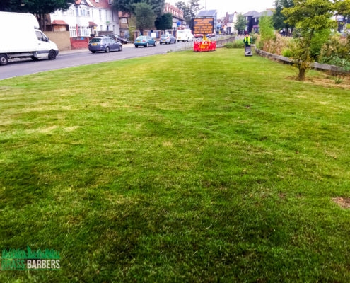 Grass Cutting Project in Mitcham CR4