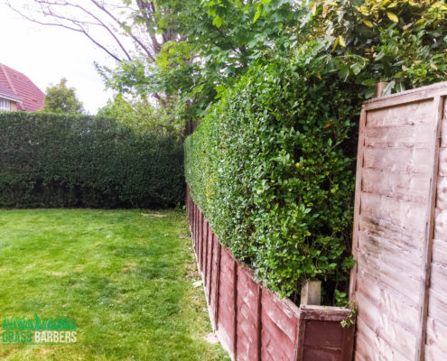 Grass Cutting and Garden Maintenance project in Purley CR8