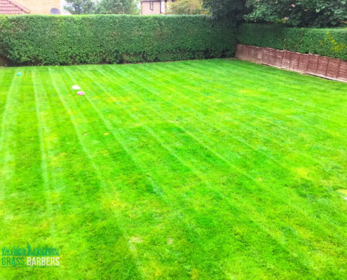 Grass Cutting and Garden Maintenance project in Purley CR8