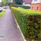 Grass Cutting and Garden Maintenance project in Purley CR8