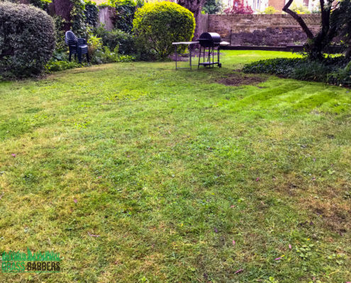 Grass Cutting and Gardening Project in Clapham SW4