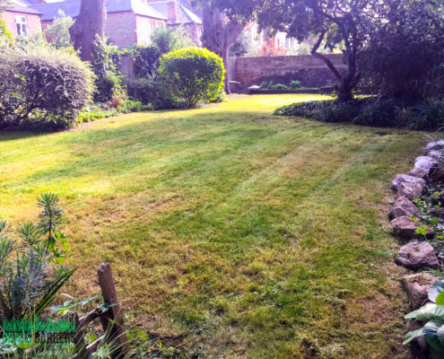 Grass Cutting and Gardening Project in Clapham SW4