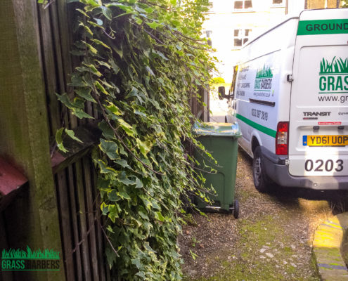 Grass Cutting and Gardening Project in Clapham SW4