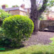 Grass Cutting and Gardening Project in Clapham SW4