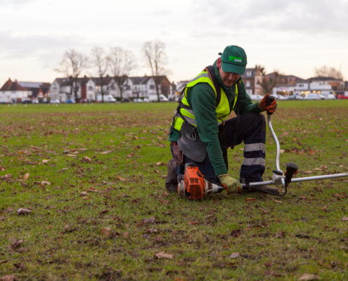 GrassBarbers Local Gardeners in Mitcham CR4