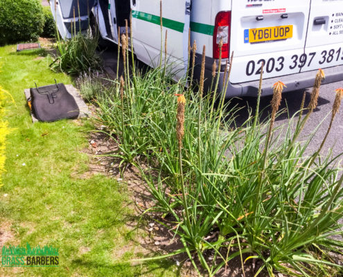 Lawn Care and Garden Maintenance Project in Wallington SM6
