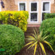 Lawn Care and Garden Maintenance Project in Wallington SM6