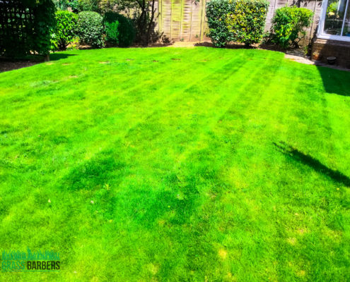 Lawn Care and Garden Maintenance Project in Wallington SM6