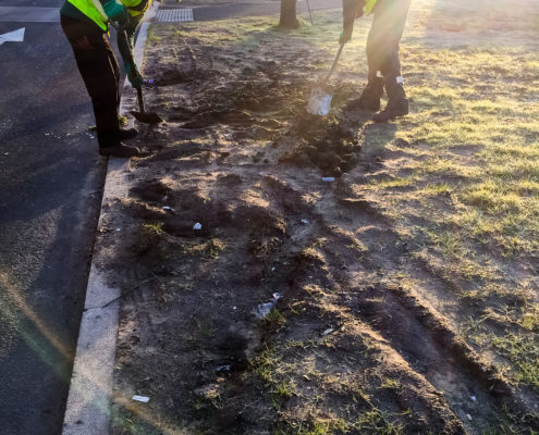 Lawn Care and Repair Project in Mitcham CR4