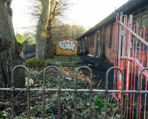 Commercial Grounds Clearance Project in Forest Hill SE23