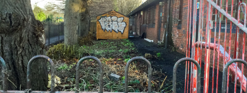 Commercial Grounds Clearance Project in Forest Hill SE23