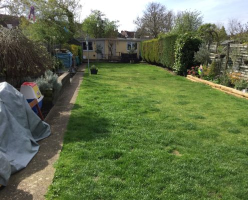 Garden Maintenance Project in Sutton SM3