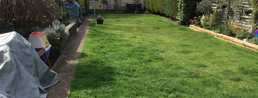 Garden Maintenance Project in Sutton SM3