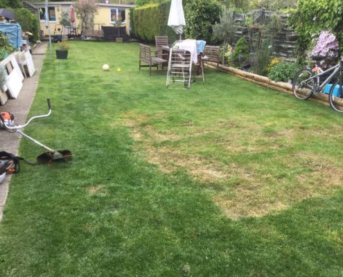 Garden Maintenance Project in Sutton SM3