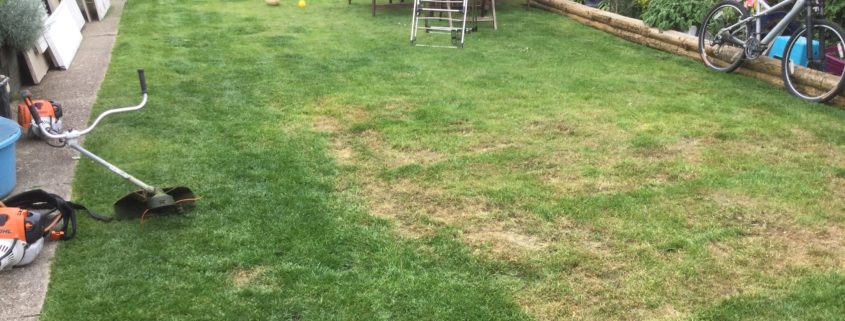 Garden Maintenance Project in Sutton SM3