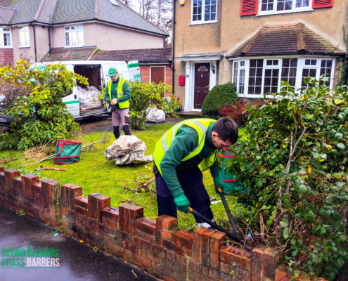 Garden Clearance Project in Shirley CR0