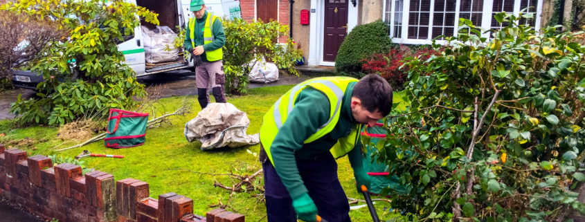 Garden Clearance Project in Shirley CR0