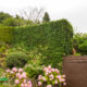 Garden Clearance Project in South Croydon CR2