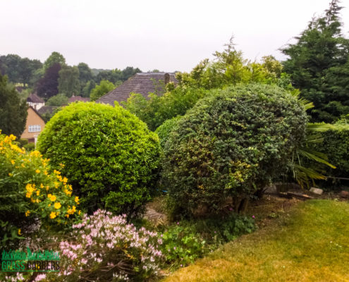 Garden Clearance Project in South Croydon CR2