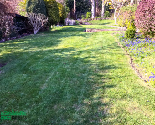 Garden Clearance Project in South Croydon CR2