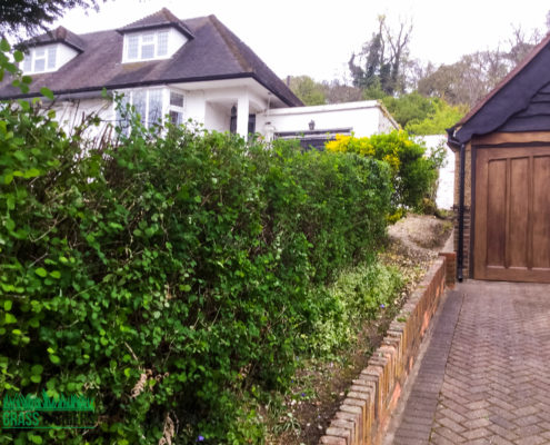 Garden Clearance Project in South Croydon CR2