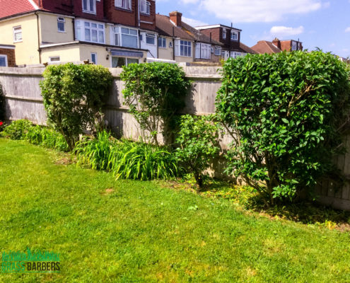 Garden Clearance Project in Sutton SM3