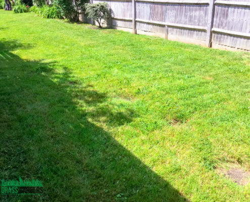 Garden Clearance Project in Sutton SM3