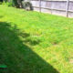 Garden Clearance Project in Sutton SM3