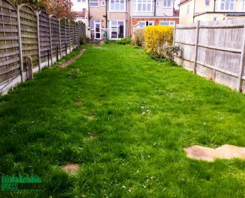 Garden Clearance Project in Sutton SM3