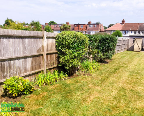 Garden Clearance Project in Sutton SM3