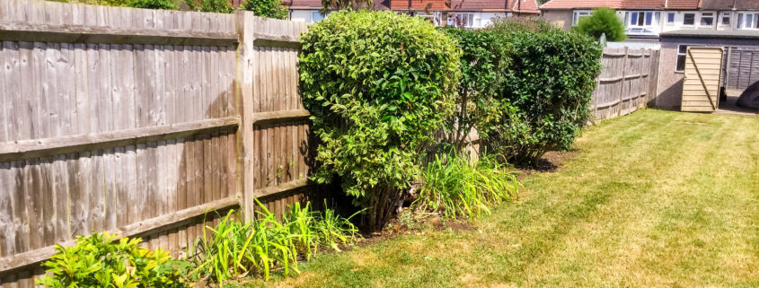 Garden Clearance Project in Sutton SM3