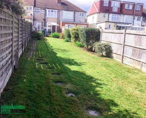 Garden Clearance Project in Sutton SM3
