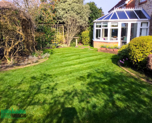 Garden Maintenance Project in Epsom and Ewell KT17