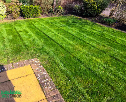 Garden Maintenance Project in Epsom and Ewell KT17