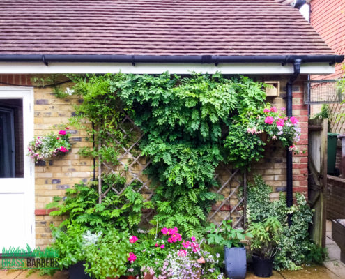 Garden Maintenance Project in Epsom and Ewell KT17