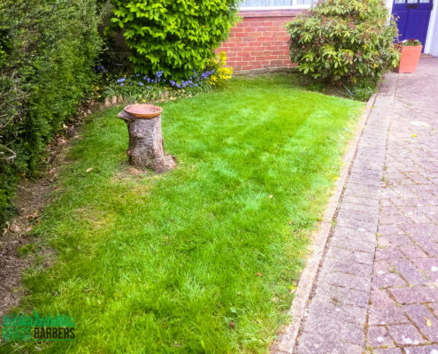 Garden Maintenance Project in Ewell SM2