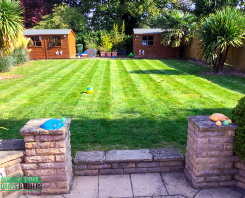 Garden Maintenance Project in South Croydon CR2