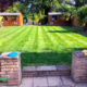 Garden Maintenance Project in South Croydon CR2