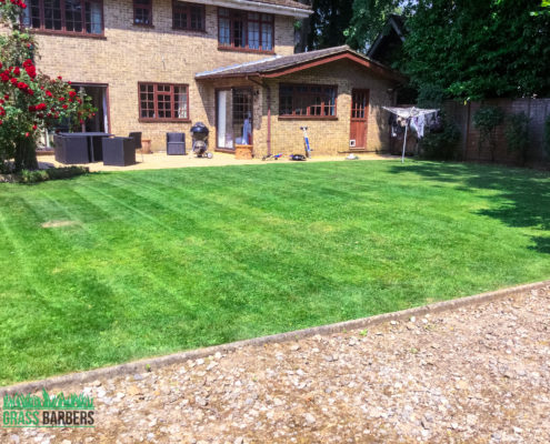 Garden Maintenance Project in Tatsfield TN16