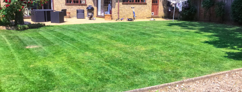 Garden Maintenance Project in Tatsfield TN16