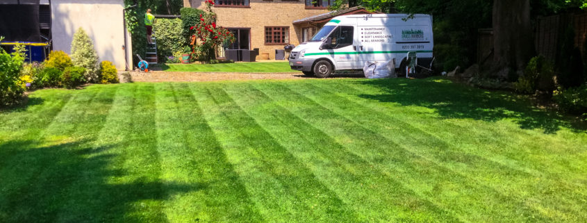 Garden Maintenance Project in Tatsfield TN16