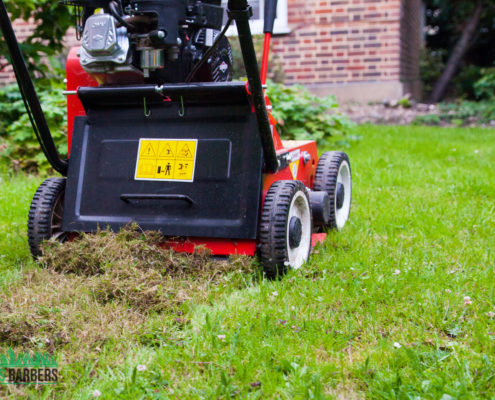 Garden Maintenance Project in Tooting Bec SW17