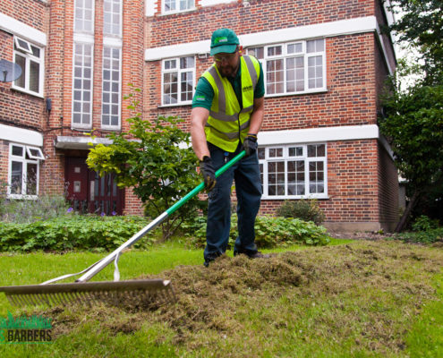 Garden Maintenance Project in Tooting Bec SW17