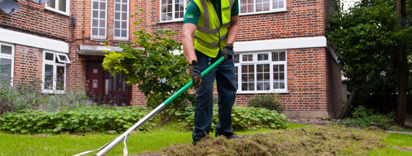 Garden Maintenance Project in Tooting Bec SW17